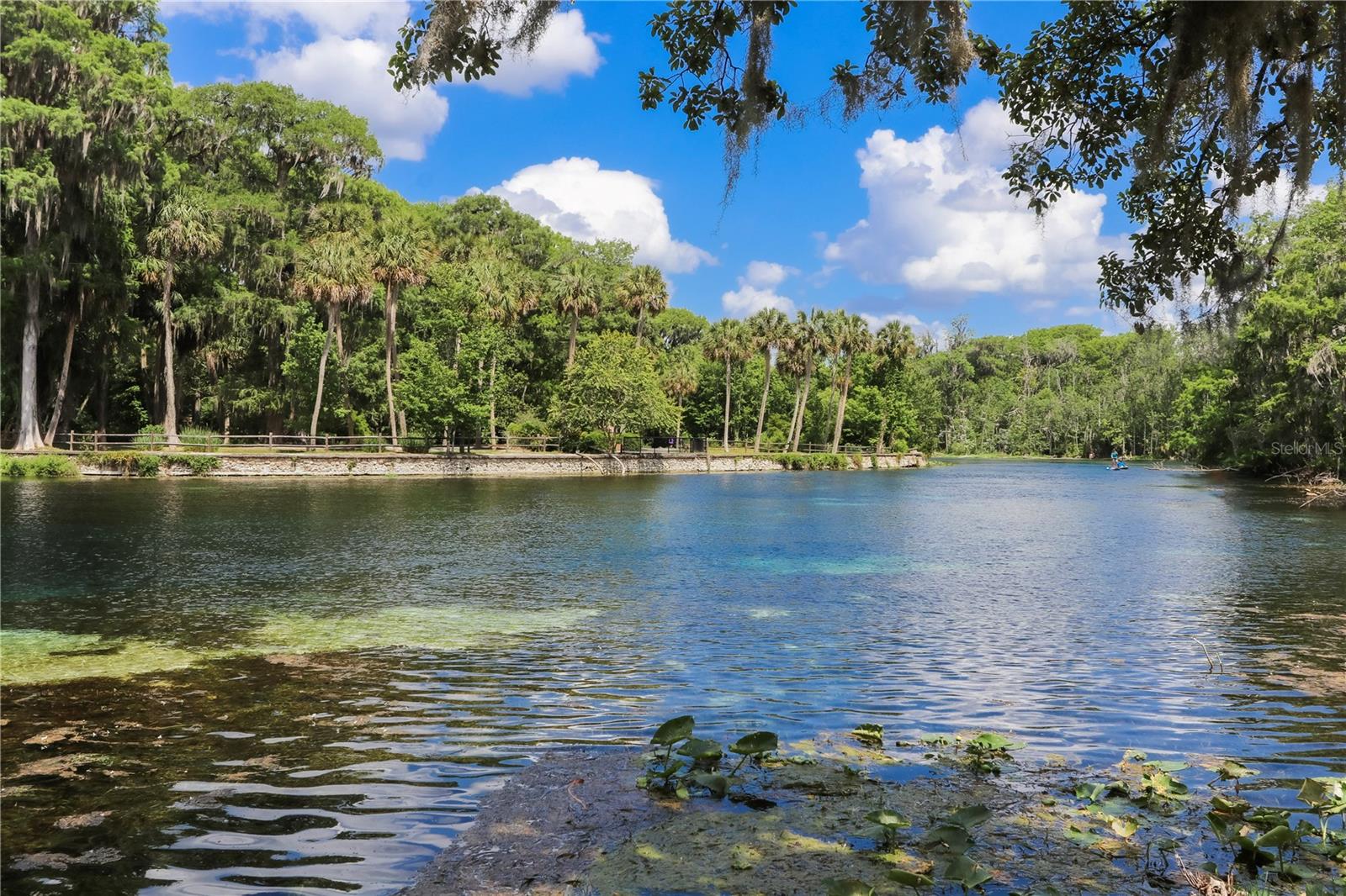 5860 SE 183RD TER, OCKLAWAHA, FL, 32179