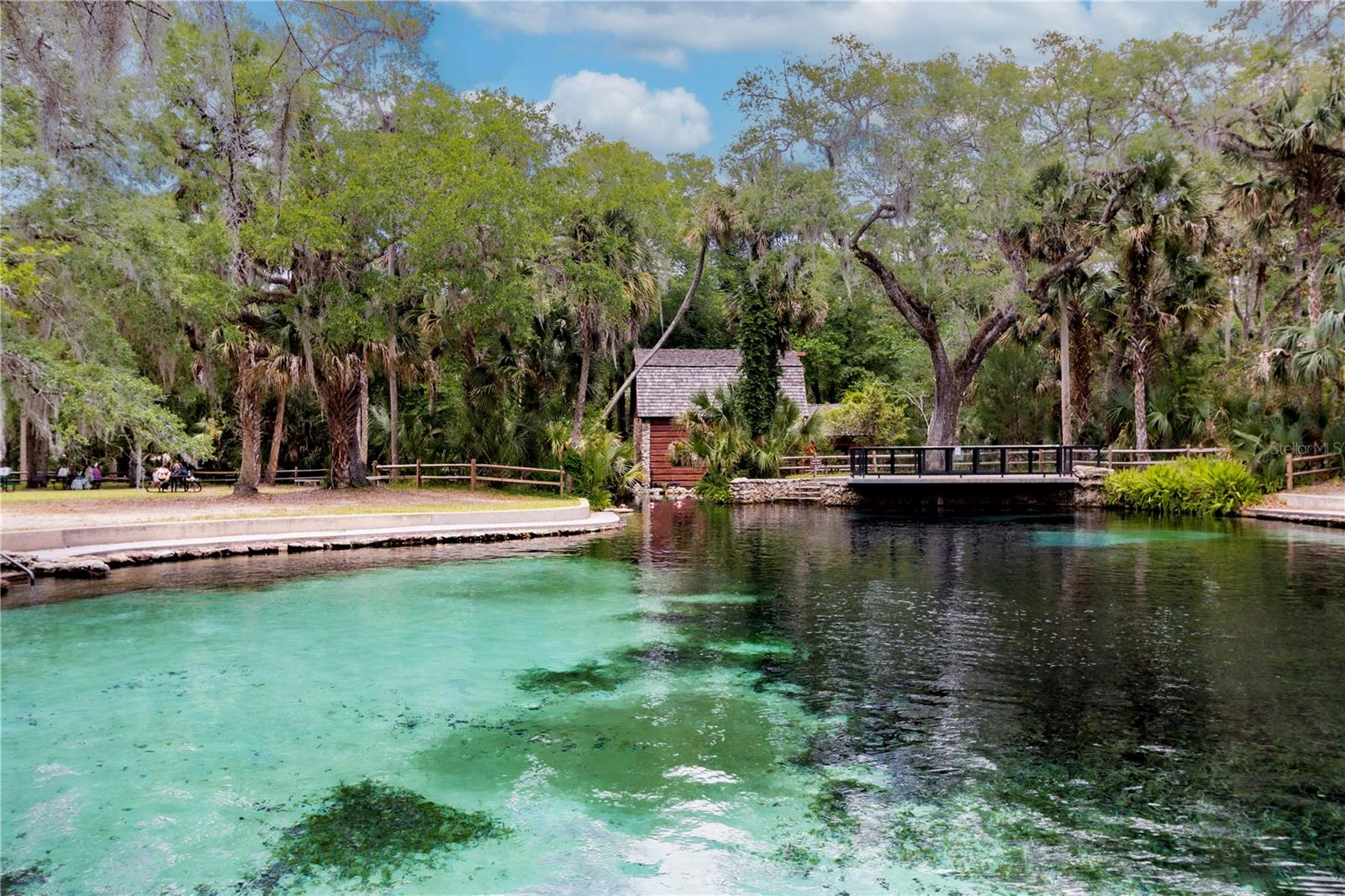 5860 SE 183RD TER, OCKLAWAHA, FL, 32179