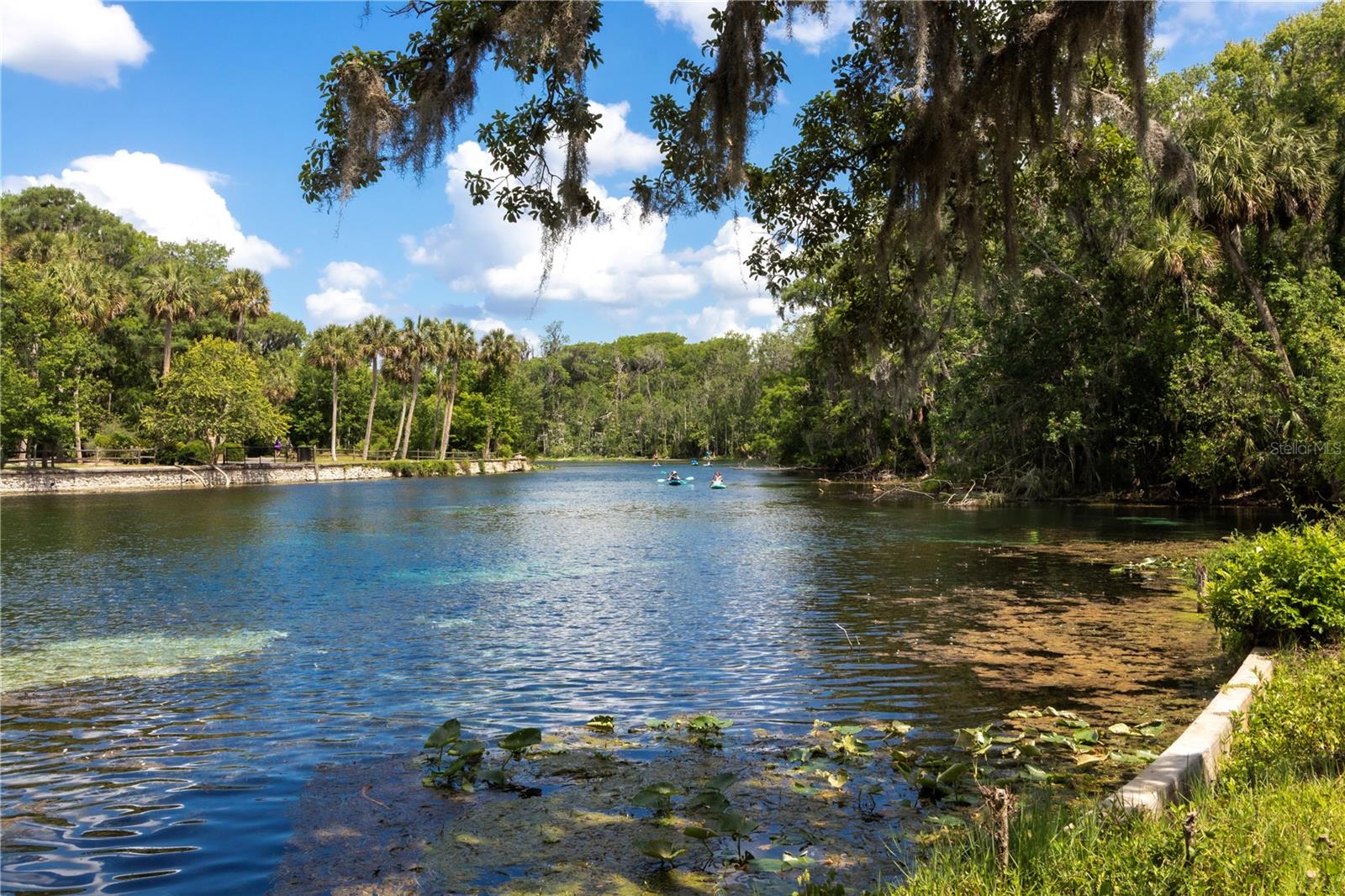 5860 SE 183RD TER, OCKLAWAHA, FL, 32179