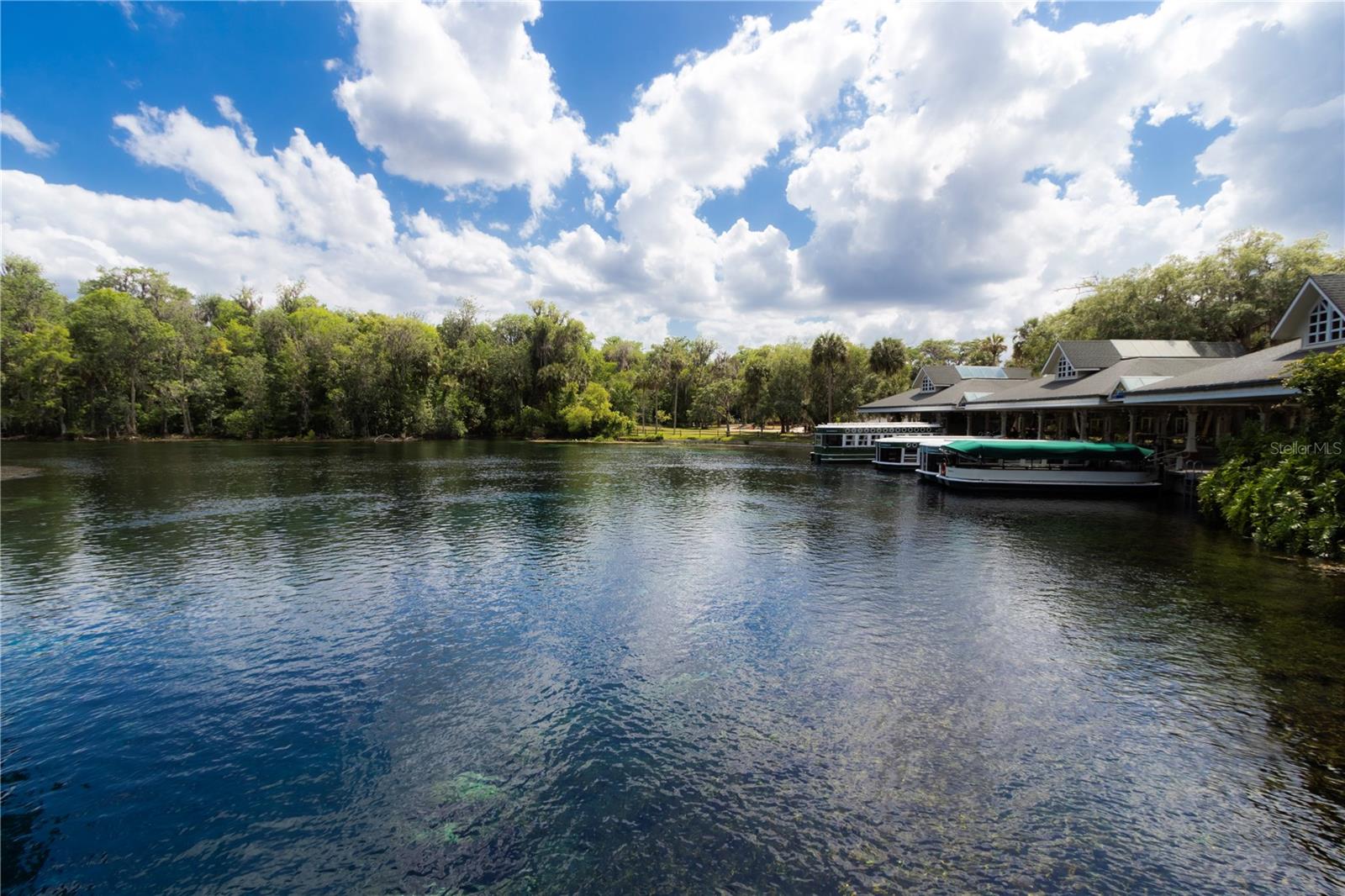 5860 SE 183RD TER, OCKLAWAHA, FL, 32179