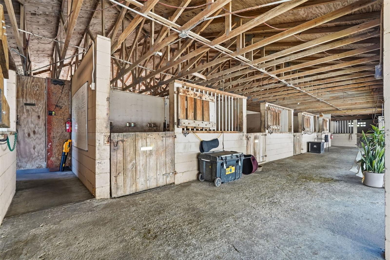 TB8443998 Property Photo