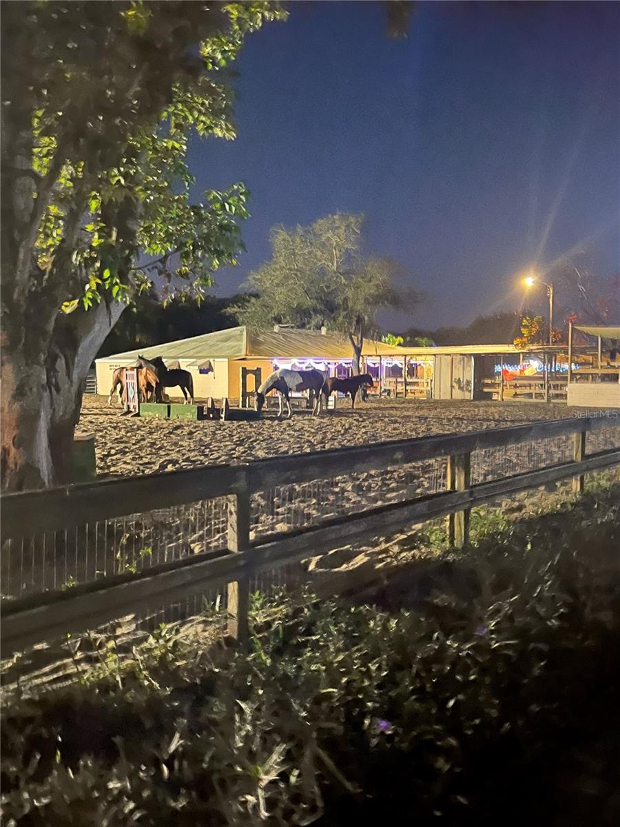 TB8443998 Property Photo