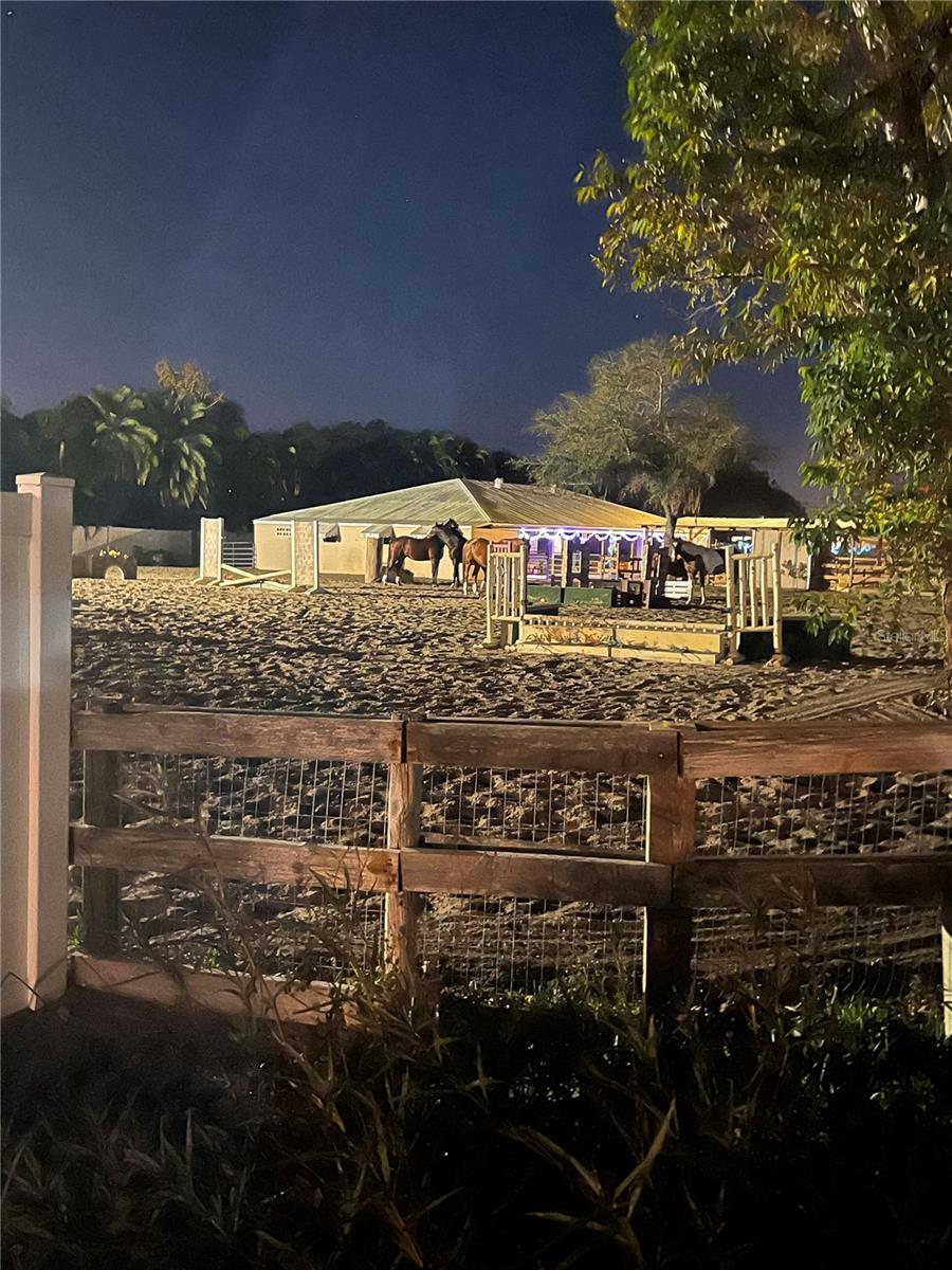 TB8443998 Property Photo