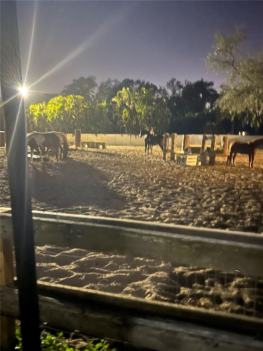 TB8443998 Property Photo