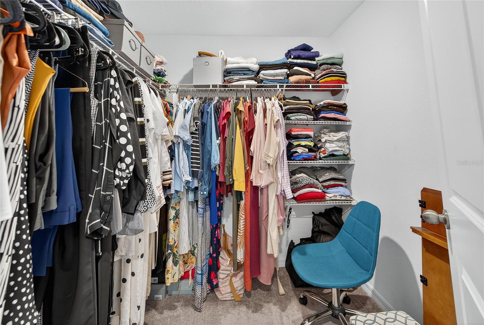 3928 CAT MINT ST, TAMPA, FL, 33619