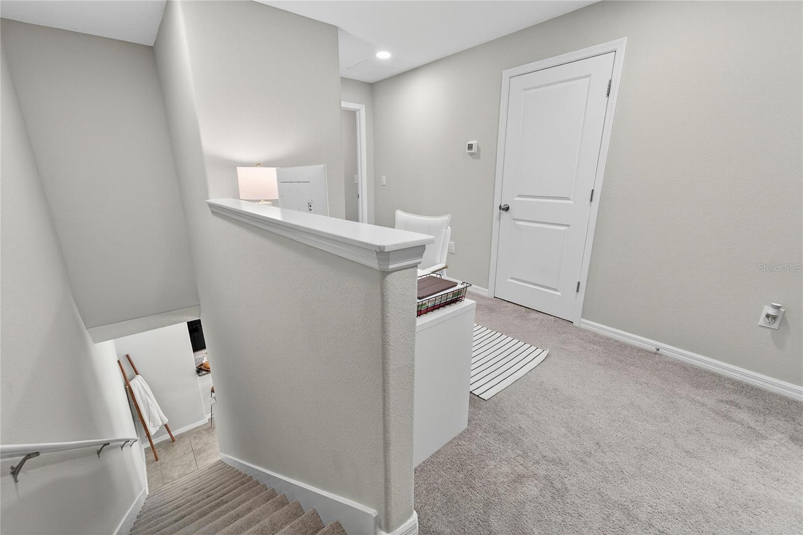 3928 CAT MINT ST, TAMPA, FL, 33619