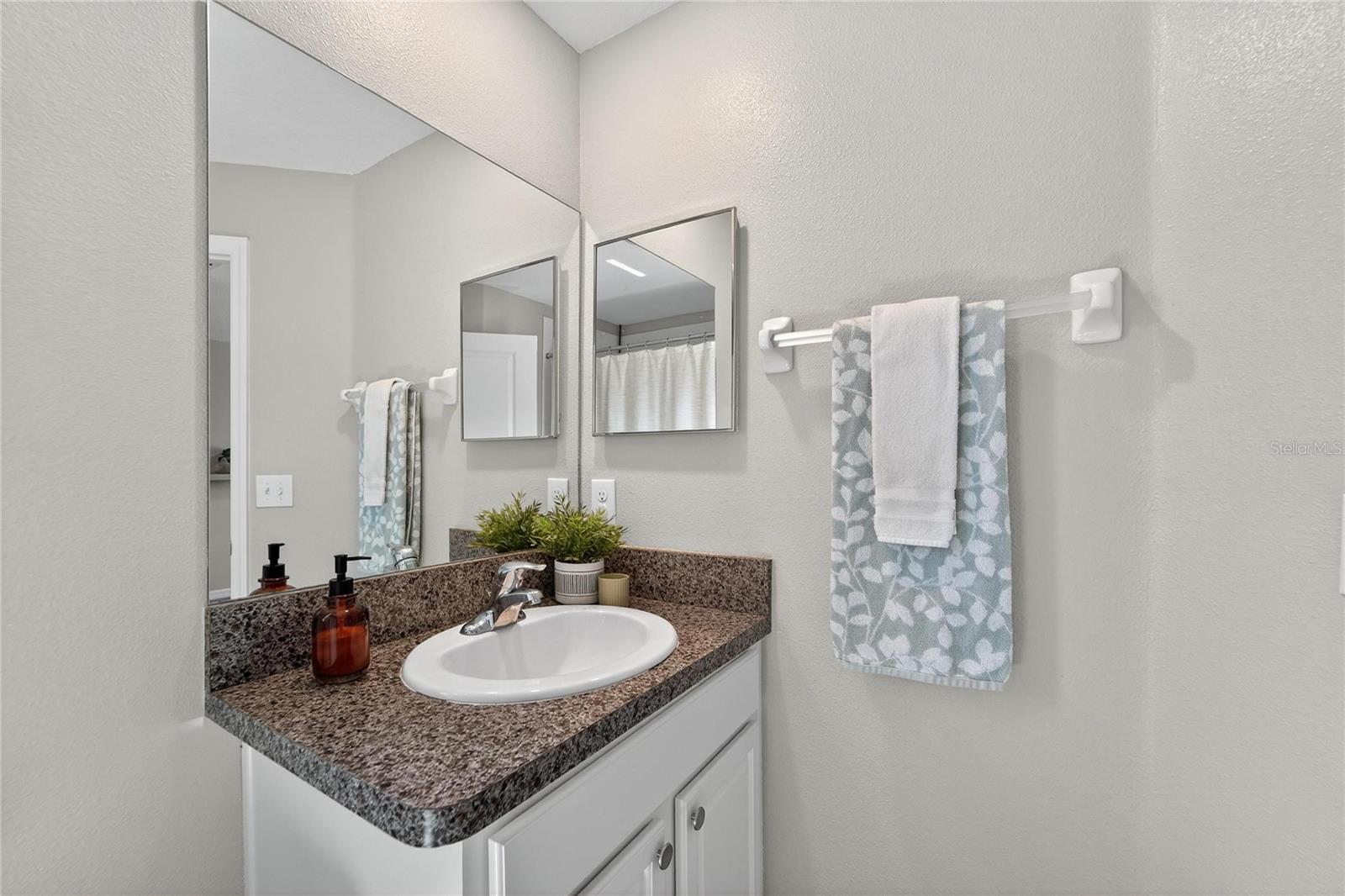 3928 CAT MINT ST, TAMPA, FL, 33619