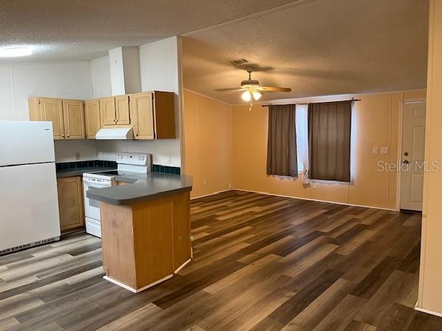 5924 ASHEN AVE, NEW PORT RICHEY, FL, 34652