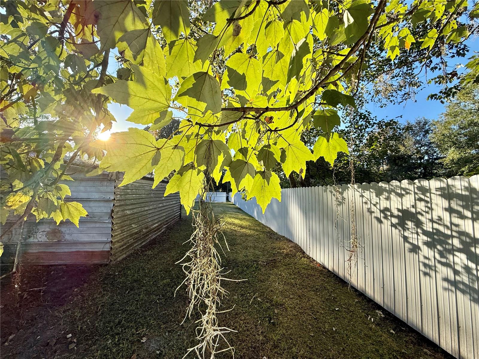 1605 8TH ST, ORLANDO, FL, 32820