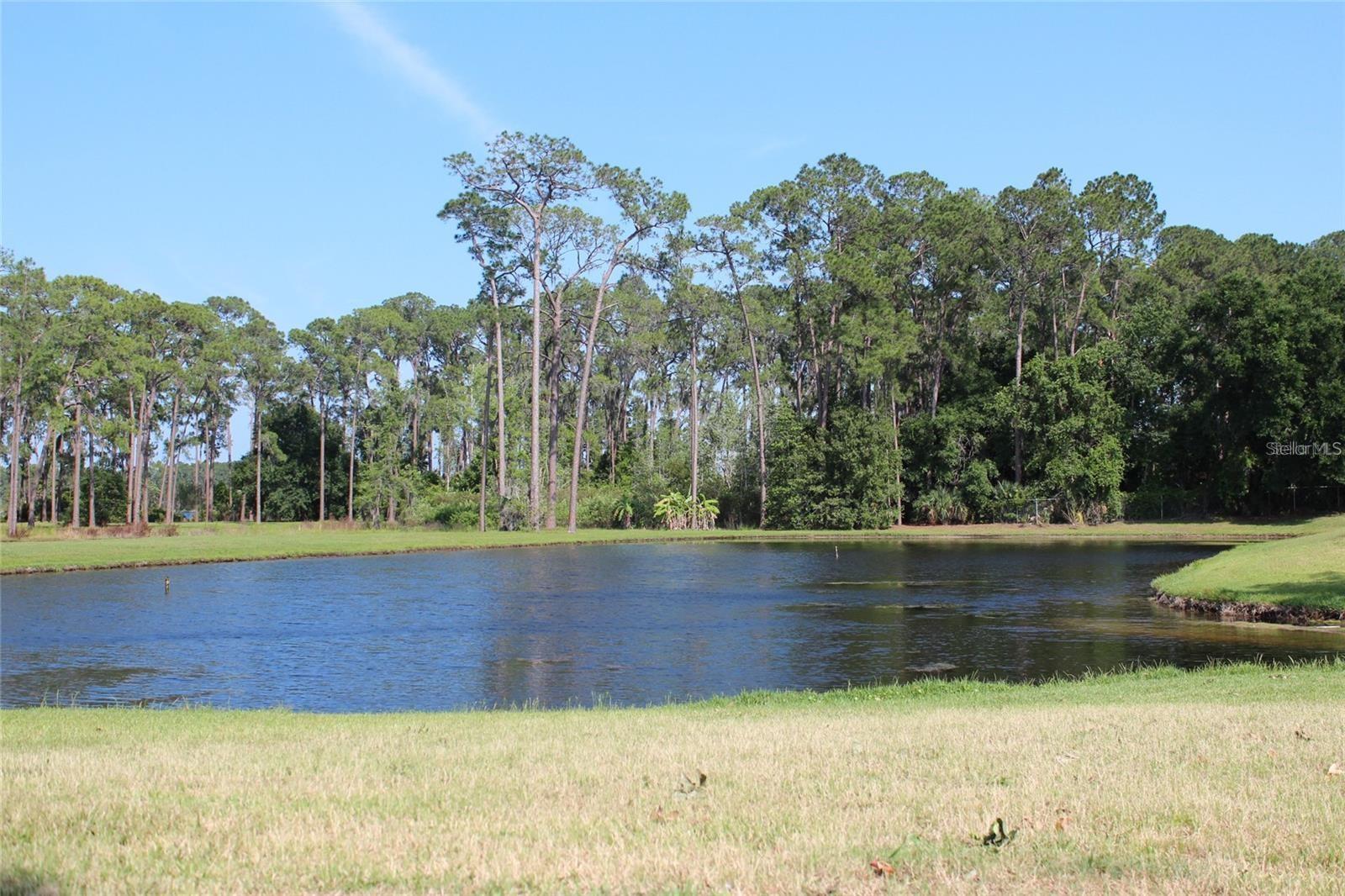 50989 HIGHWAY 27 #317, DAVENPORT, FL, 33897