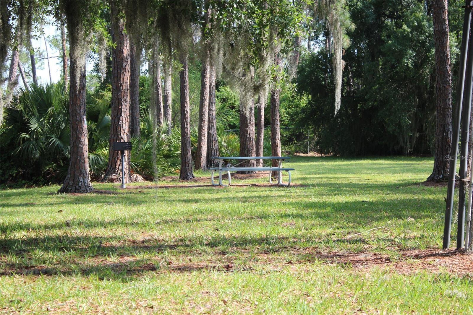 50989 HIGHWAY 27 #317, DAVENPORT, FL, 33897