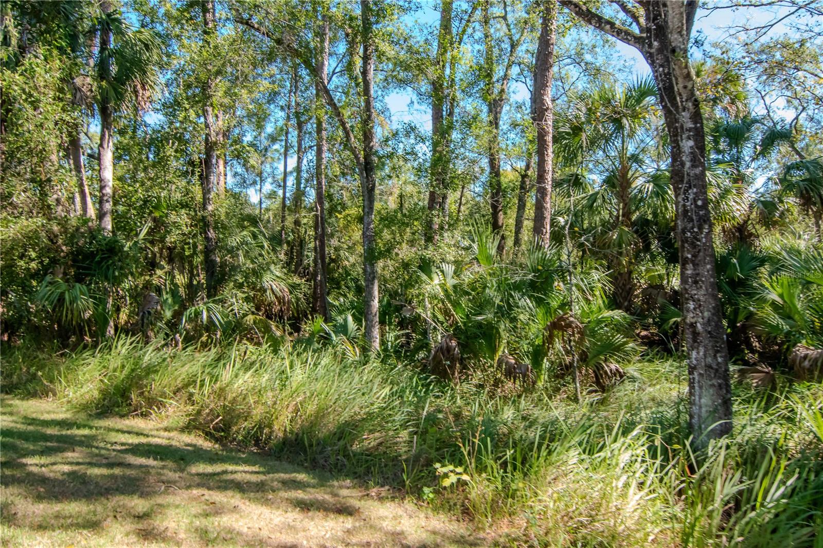 16102 COLCHESTER PALMS DR, TAMPA, FL, 33647