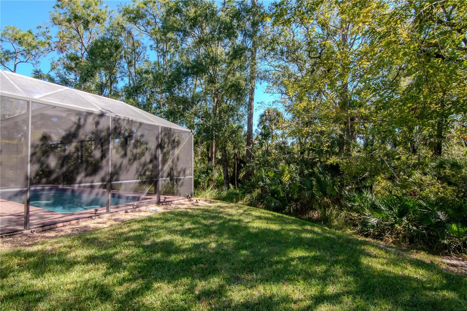 16102 COLCHESTER PALMS DR, TAMPA, FL, 33647