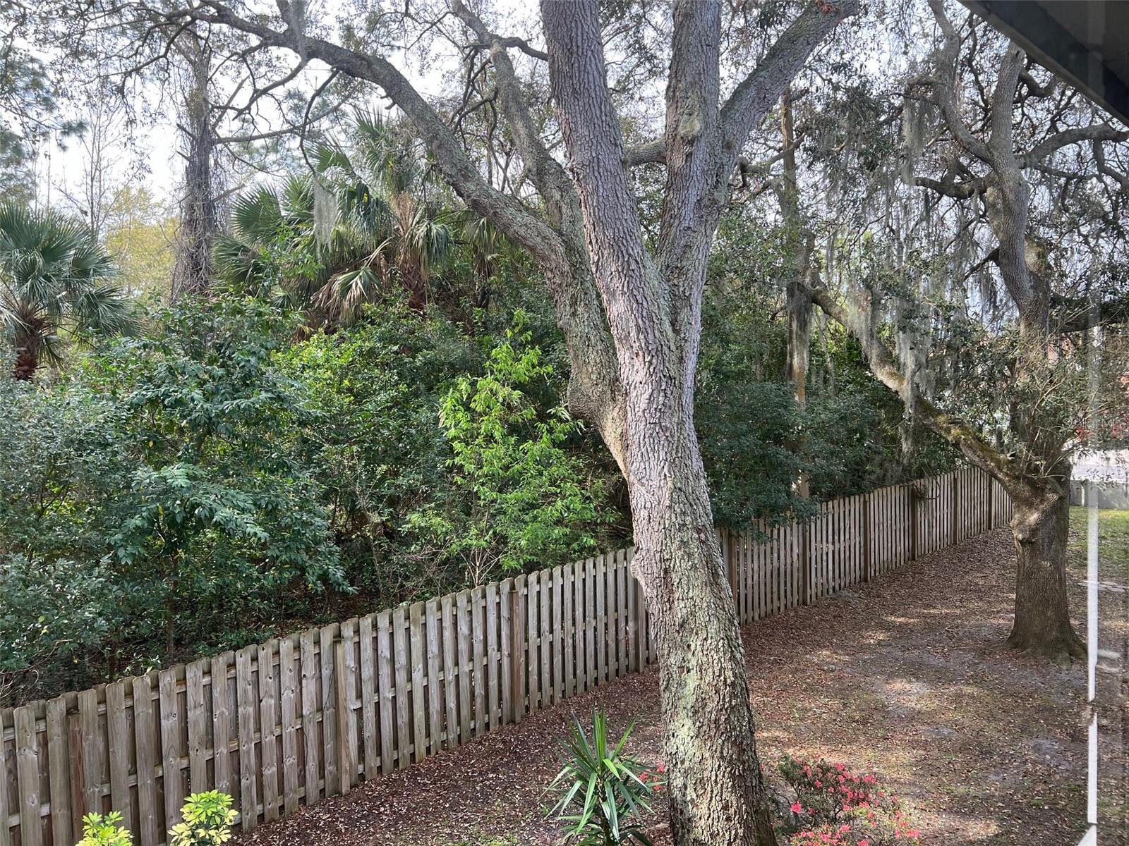 1795 HARRISON ST #215, TITUSVILLE, FL, 32780