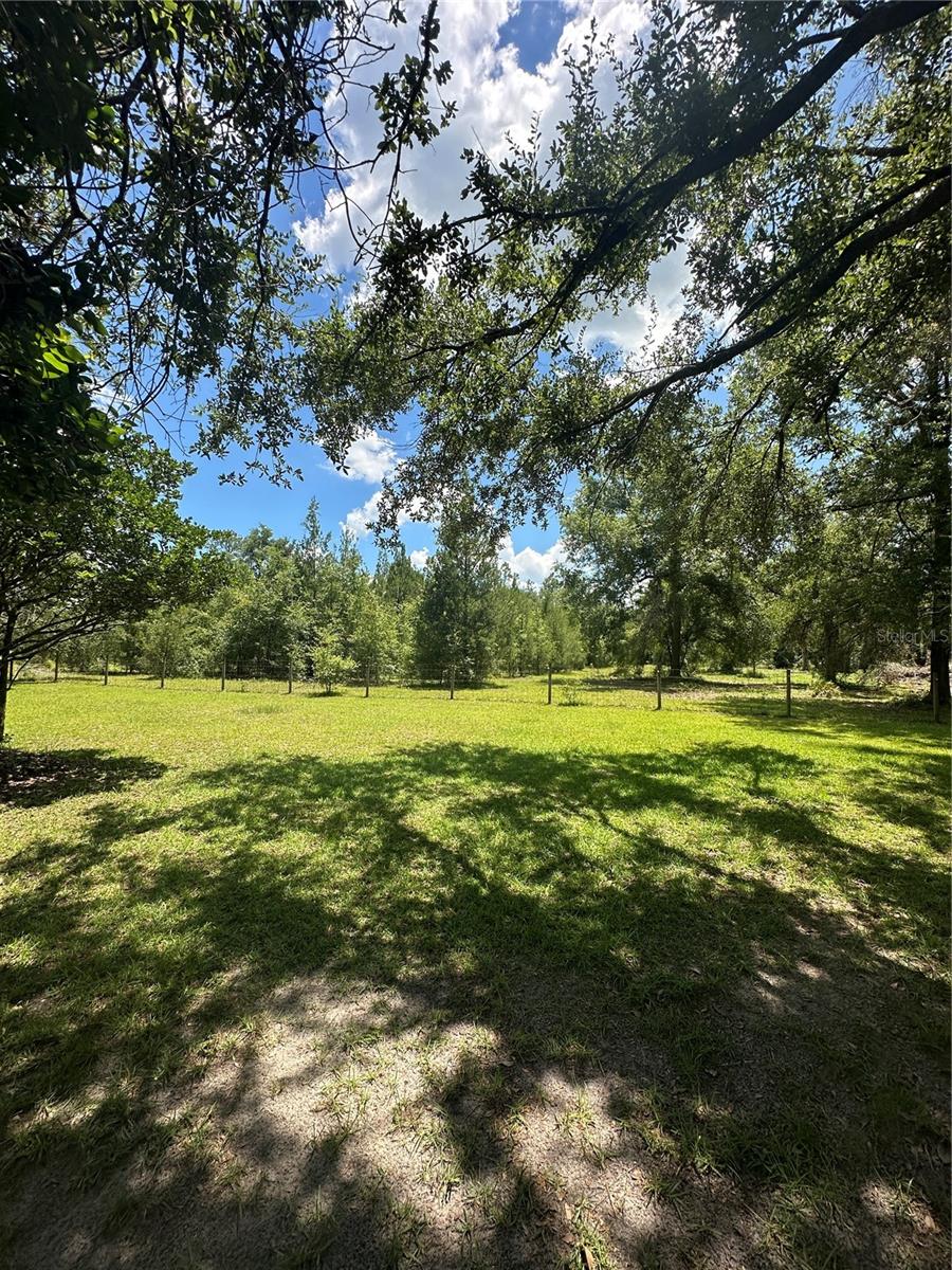 209TH RD, LIVE OAK, FL, 32060