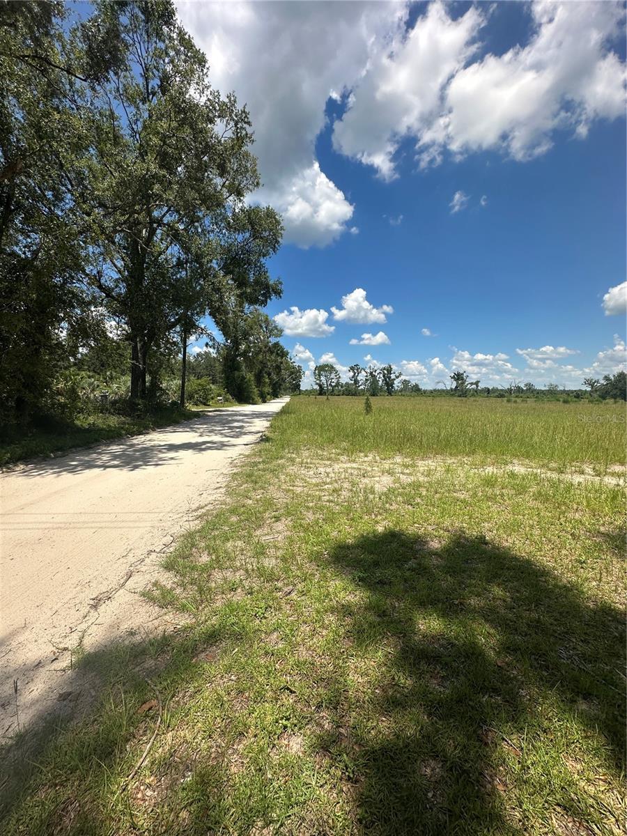 209TH RD, LIVE OAK, FL, 32060