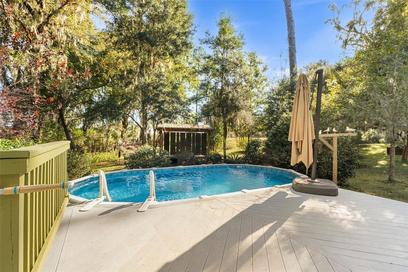 11641 NW 271ST RD, ALACHUA, FL, 32615