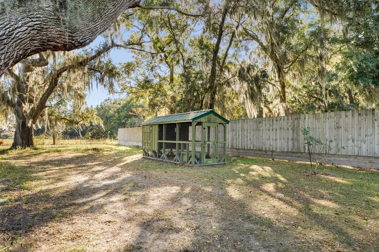 11641 NW 271ST RD, ALACHUA, FL, 32615