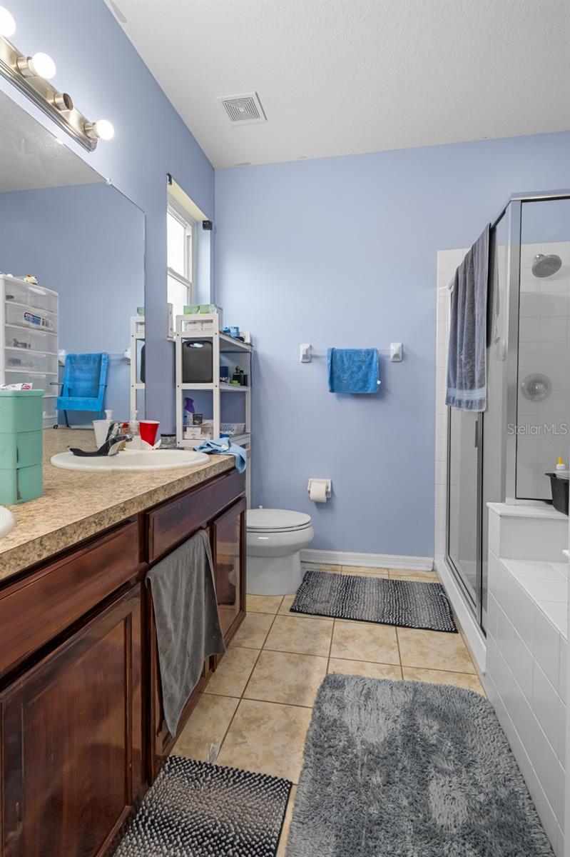 12815 GENEVA GLADE DR, RIVERVIEW, FL, 33578