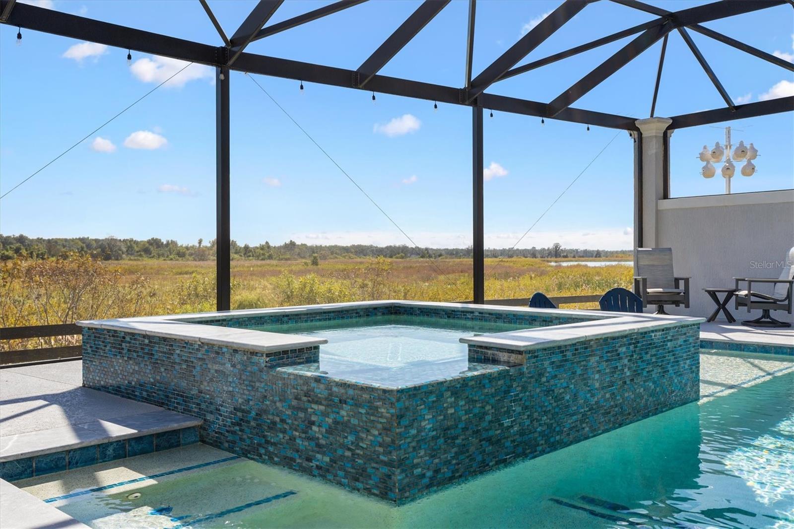 663 KRIETEMEYER PATH, THE VILLAGES, FL, 32163