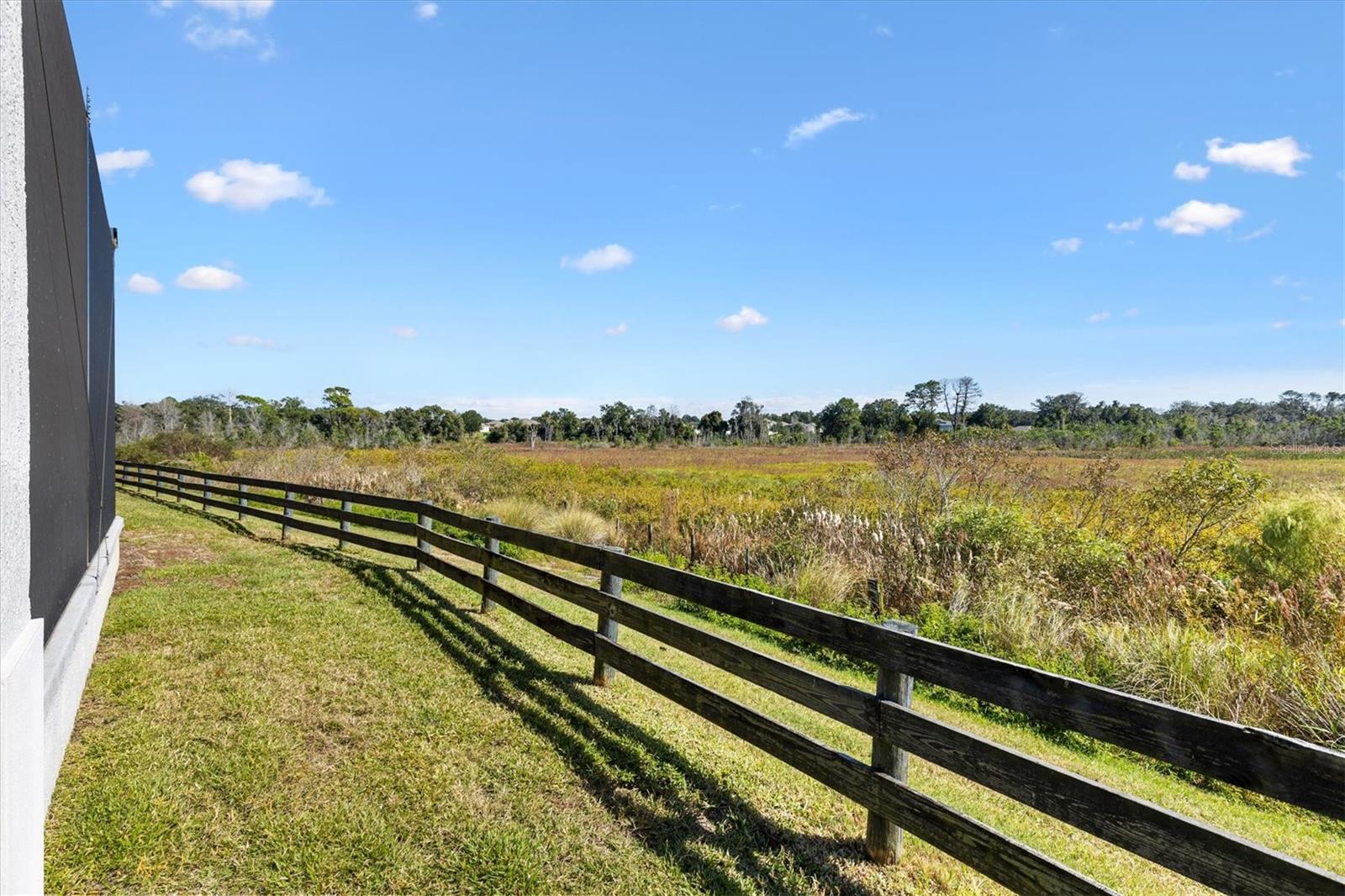 663 KRIETEMEYER PATH, THE VILLAGES, FL, 32163