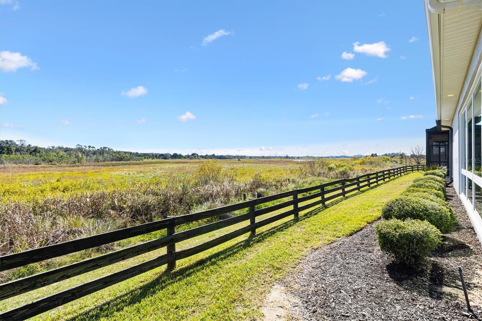 663 KRIETEMEYER PATH, THE VILLAGES, FL, 32163