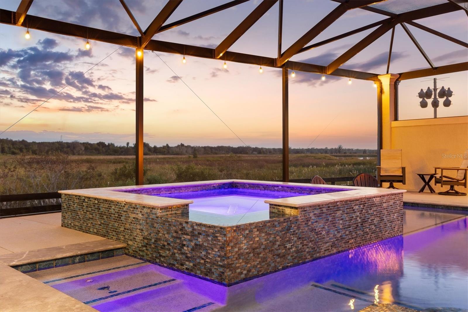 663 KRIETEMEYER PATH, THE VILLAGES, FL, 32163