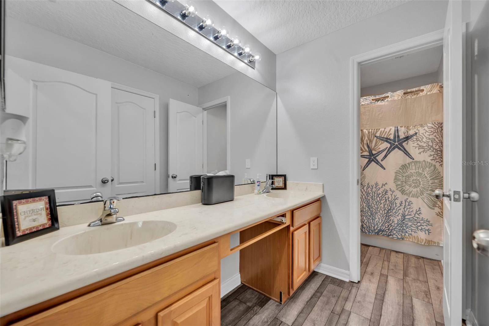 10007 IANS RIDGE RD, ORLANDO, FL, 32832