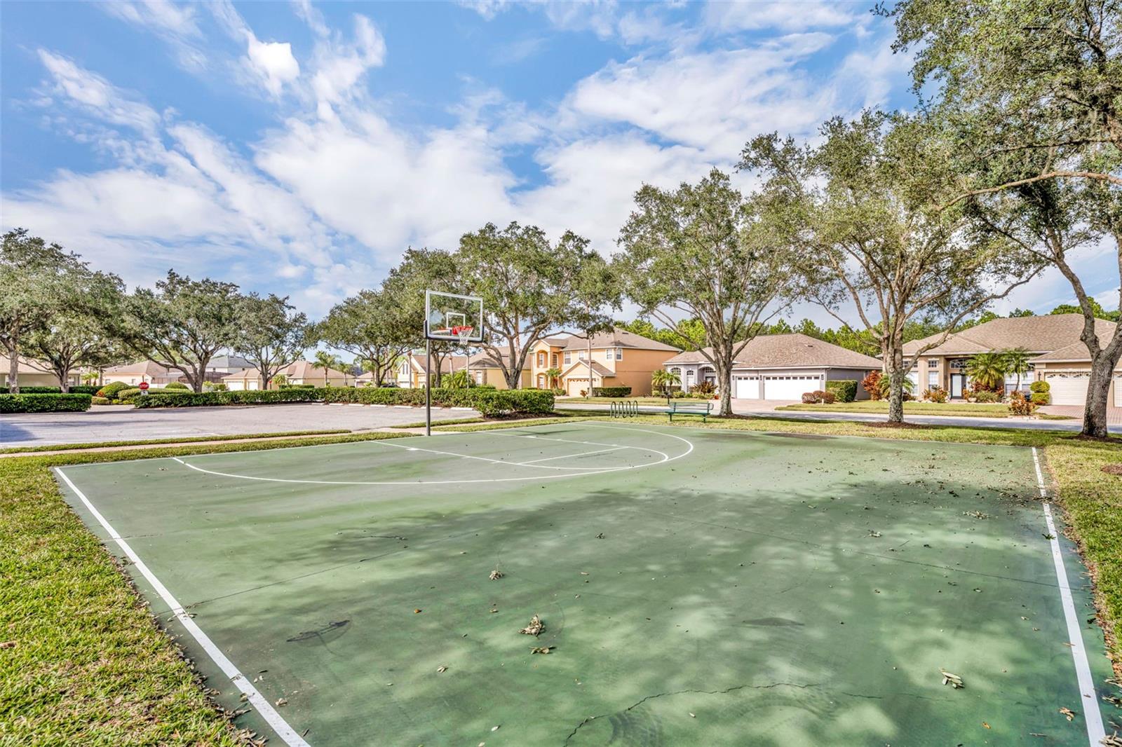 10007 IANS RIDGE RD, ORLANDO, FL, 32832