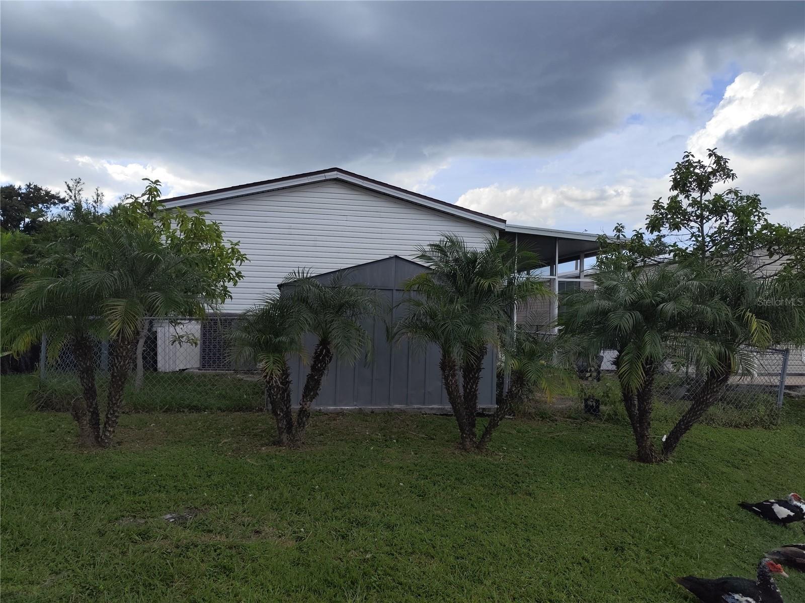 9800 OAKS ST, TAMPA, FL, 33635