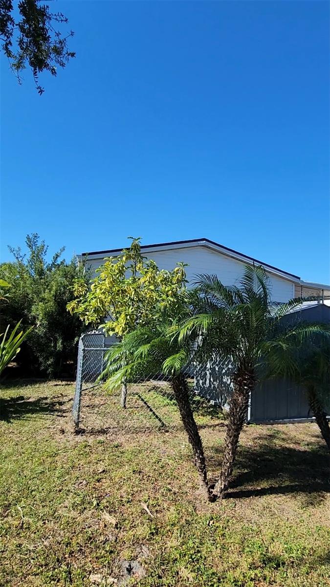 9800 OAKS ST, TAMPA, FL, 33635