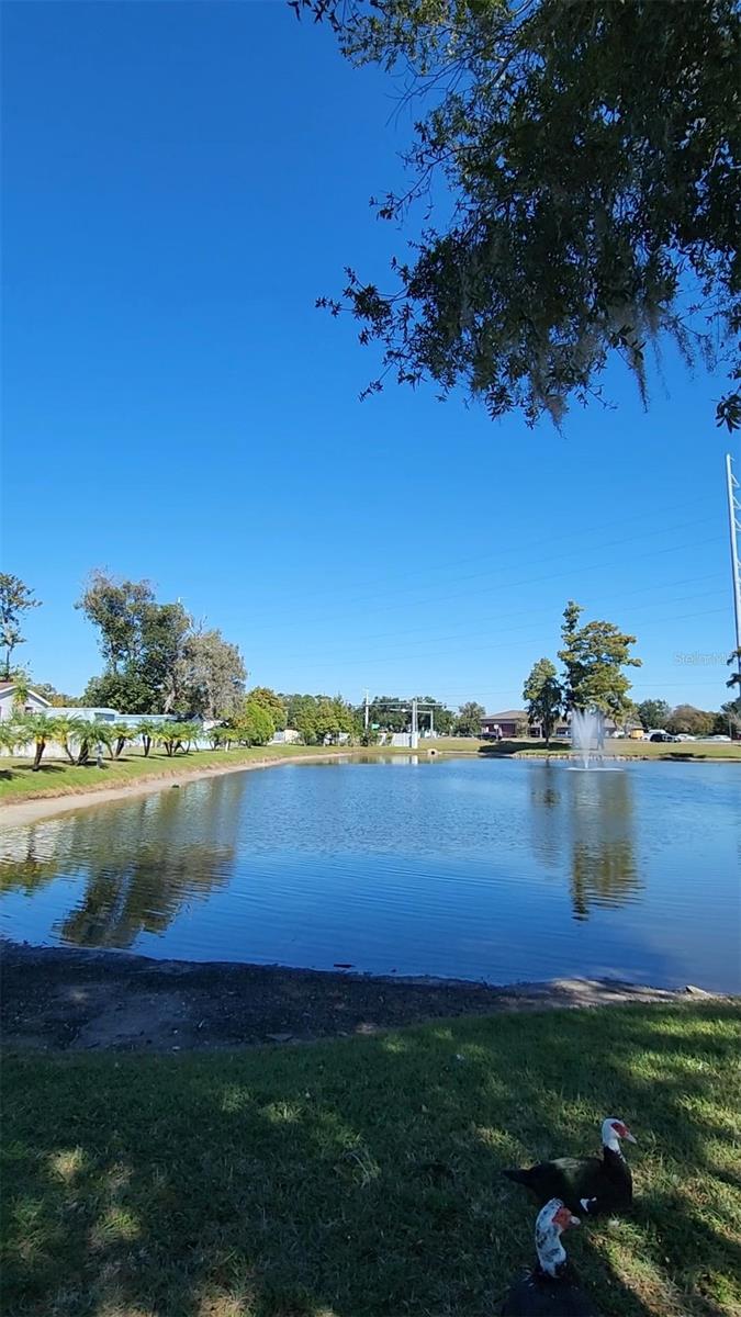 9800 OAKS ST, TAMPA, FL, 33635