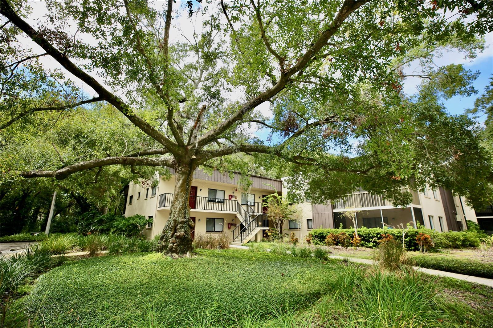 11702 RAINTREE VILLAGE BLVD #B, TEMPLE TERRACE, FL, 33617