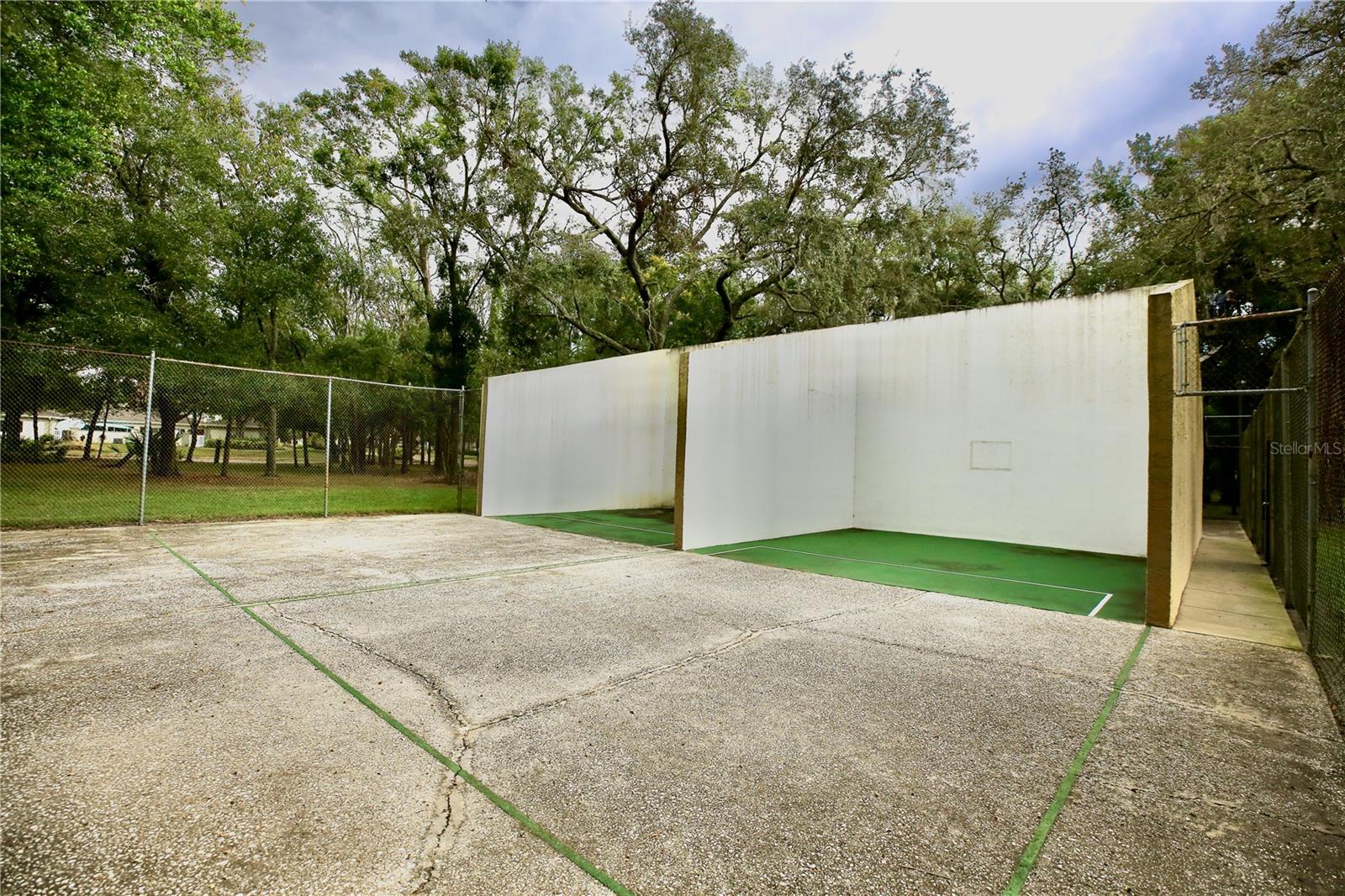 11702 RAINTREE VILLAGE BLVD #B, TEMPLE TERRACE, FL, 33617