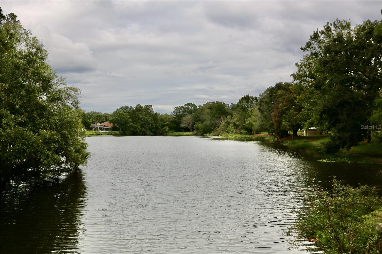 11702 RAINTREE VILLAGE BLVD #B, TEMPLE TERRACE, FL, 33617