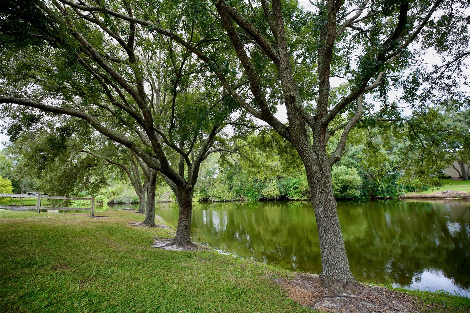 11702 RAINTREE VILLAGE BLVD #B, TEMPLE TERRACE, FL, 33617