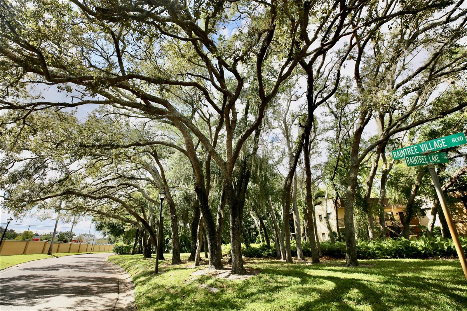 11702 RAINTREE VILLAGE BLVD #B, TEMPLE TERRACE, FL, 33617