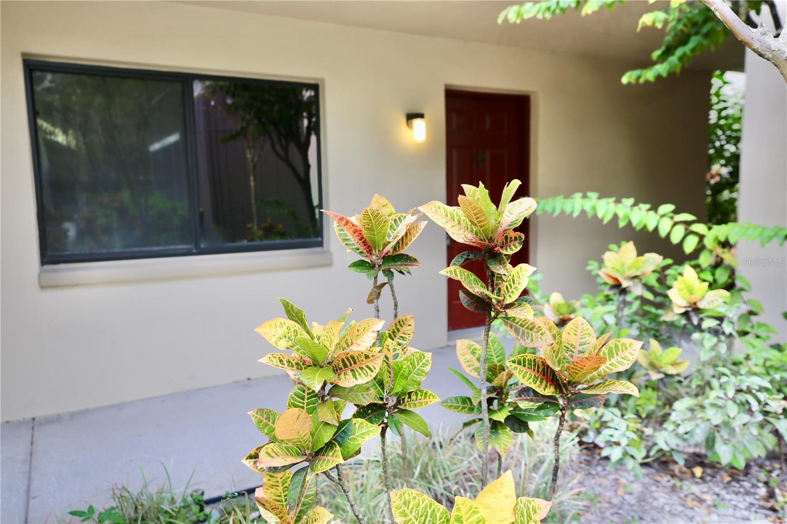 11702 RAINTREE VILLAGE BLVD #B, TEMPLE TERRACE, FL, 33617