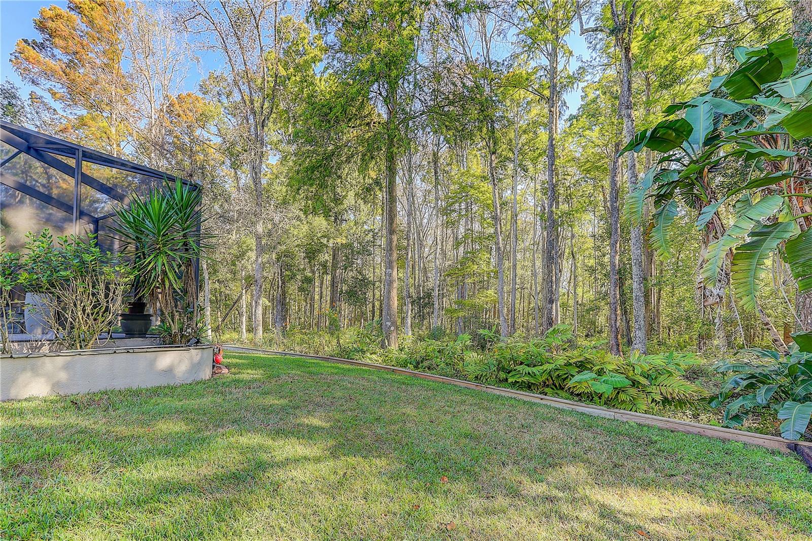 12054 QUAIL RIDGE DR, SPRING HILL, FL, 34610