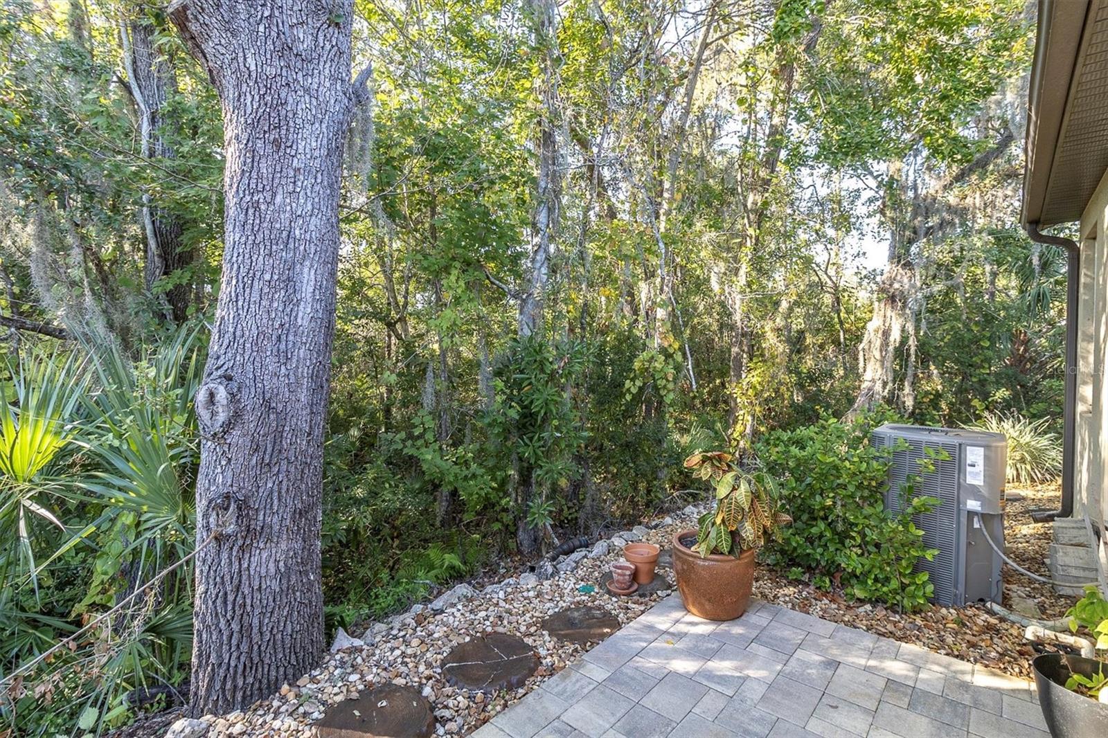 7715 DAWSON CREEK LN, NEW PORT RICHEY, FL, 34654