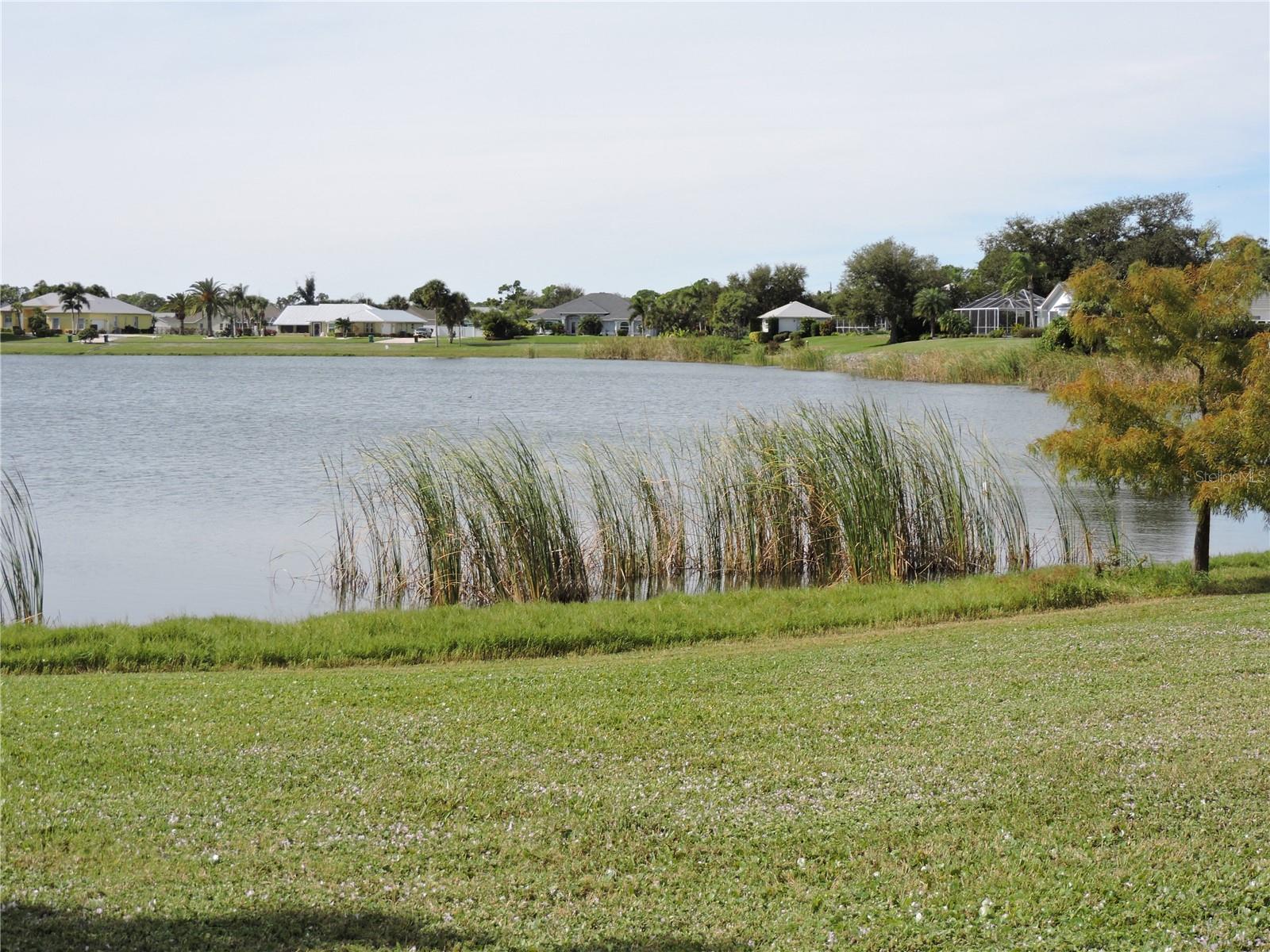 8170 CASA DE MEADOWS DR, ENGLEWOOD, FL, 34224