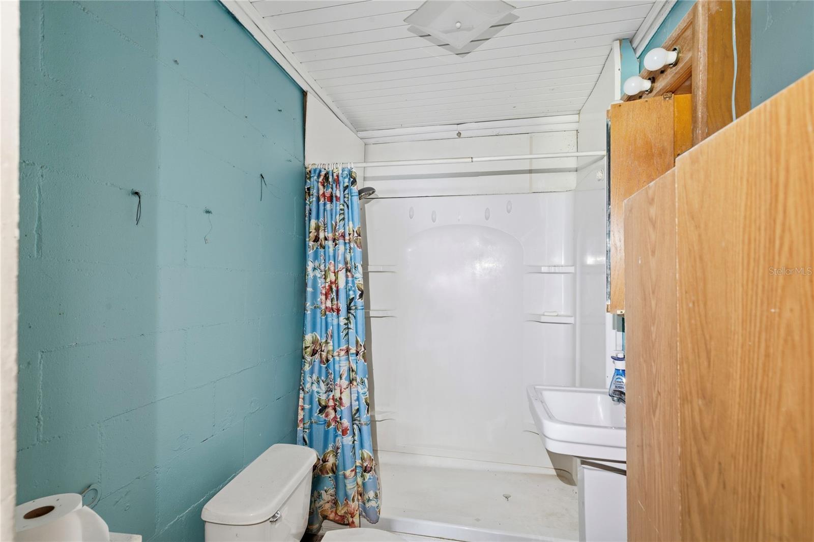 15217 MYRTLE ST, DADE CITY, FL, 33523