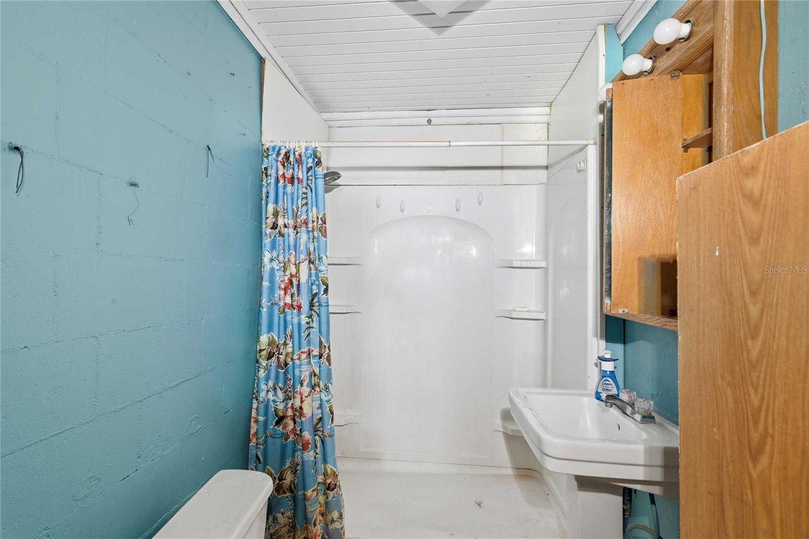 15217 MYRTLE ST, DADE CITY, FL, 33523