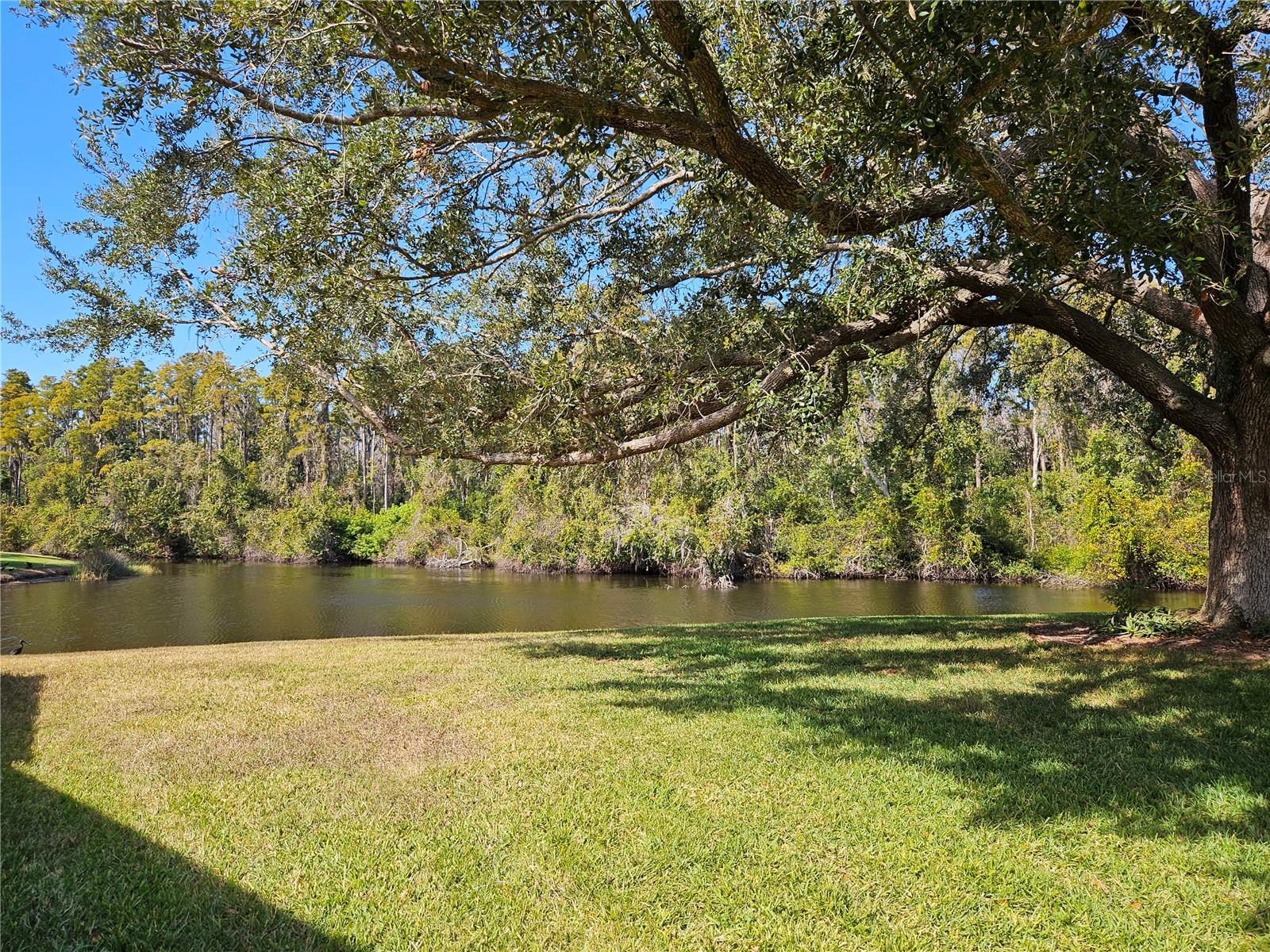 2012 HAWKHURST CIR #195, SUN CITY CENTER, FL, 33573