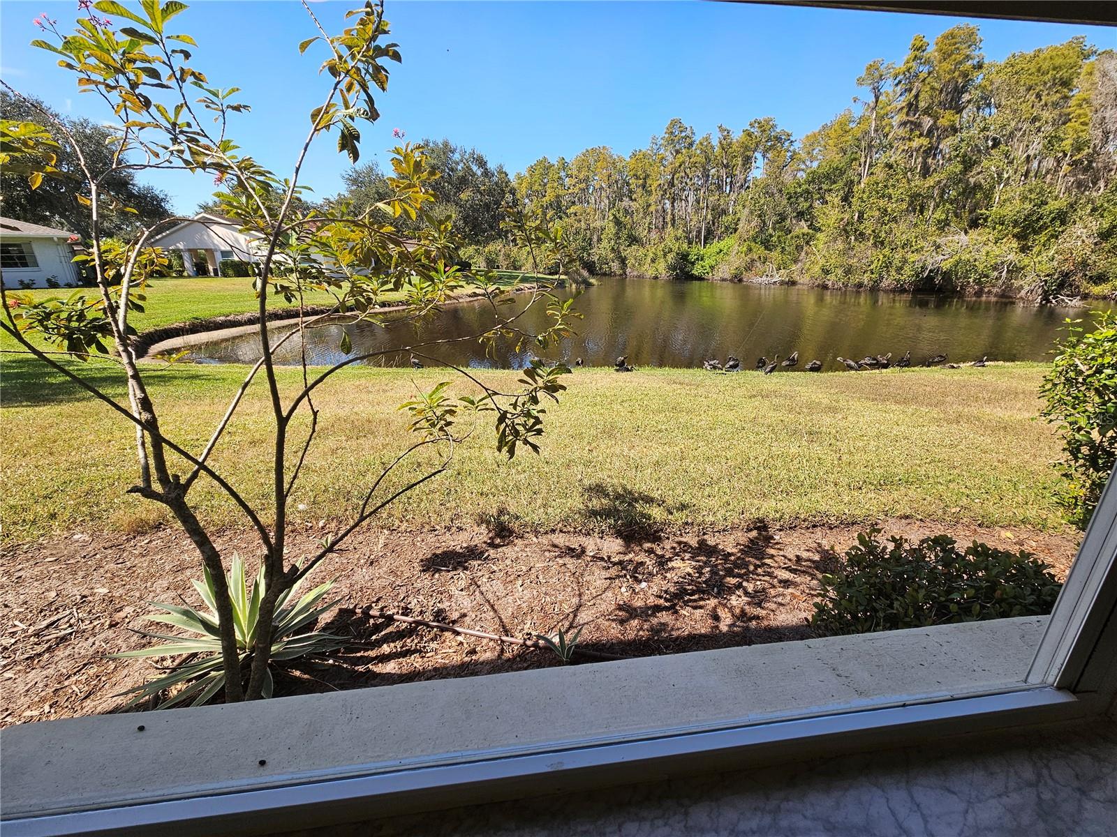 2012 HAWKHURST CIR #195, SUN CITY CENTER, FL, 33573