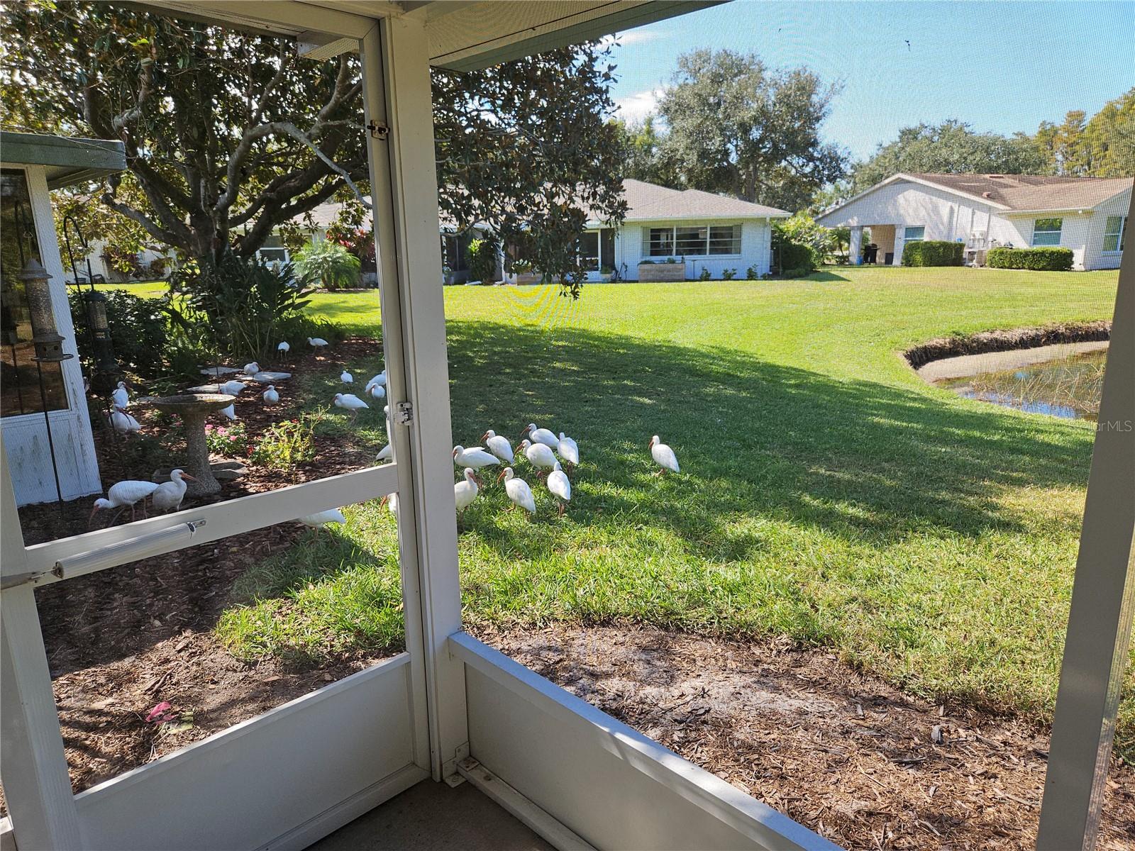 2012 HAWKHURST CIR #195, SUN CITY CENTER, FL, 33573