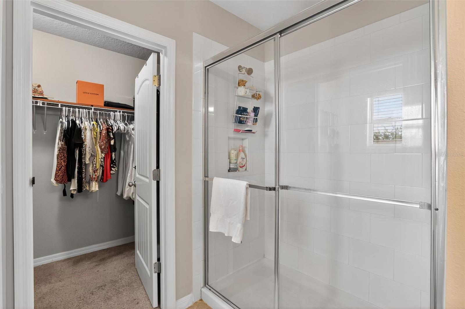 10625 ATWATER BAY DR, WINTER GARDEN, FL, 34787