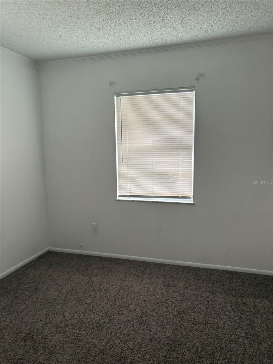 38545 PATTI LN, DADE CITY, FL, 33523