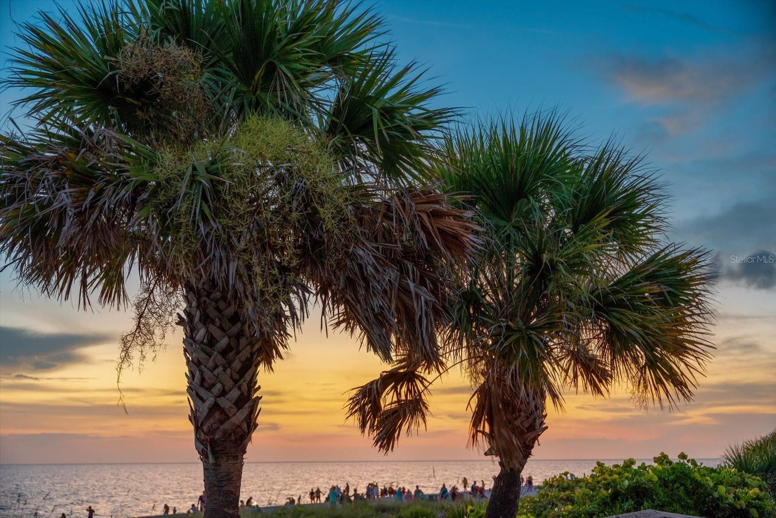 1460 DEER CREEK DR, ENGLEWOOD, FL, 34223