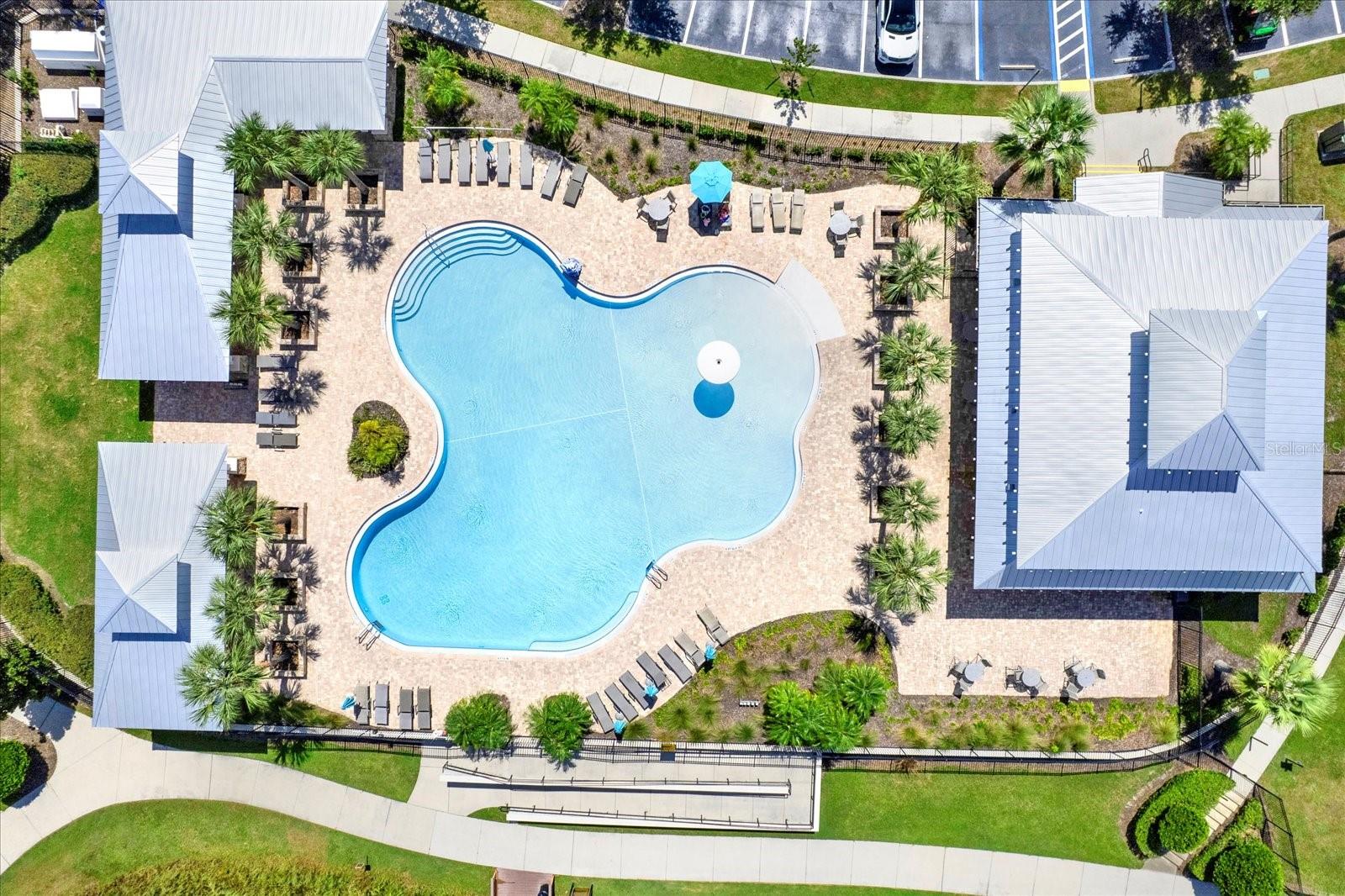 1656 NATURE VIEW DR, LUTZ, FL, 33558